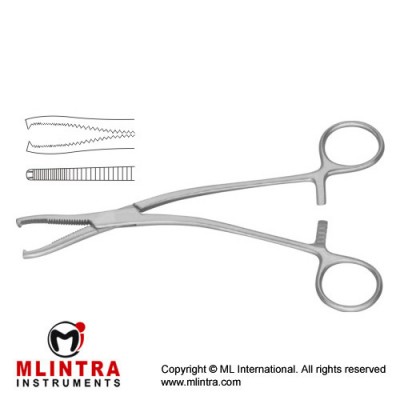 Dingmann Catrilage Seizing Forcep Stainless Steel, 18.5 cm - 7 1/4"